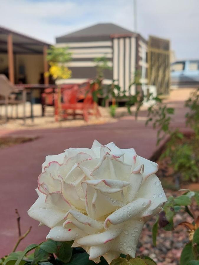 Wadi Rum Oryx Hostel & Tours Esterno foto